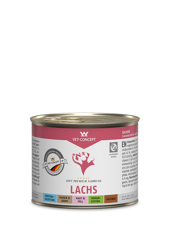 dog menu salmon wet food for dogs