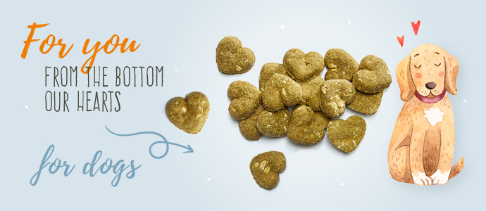 A little treat for dogs