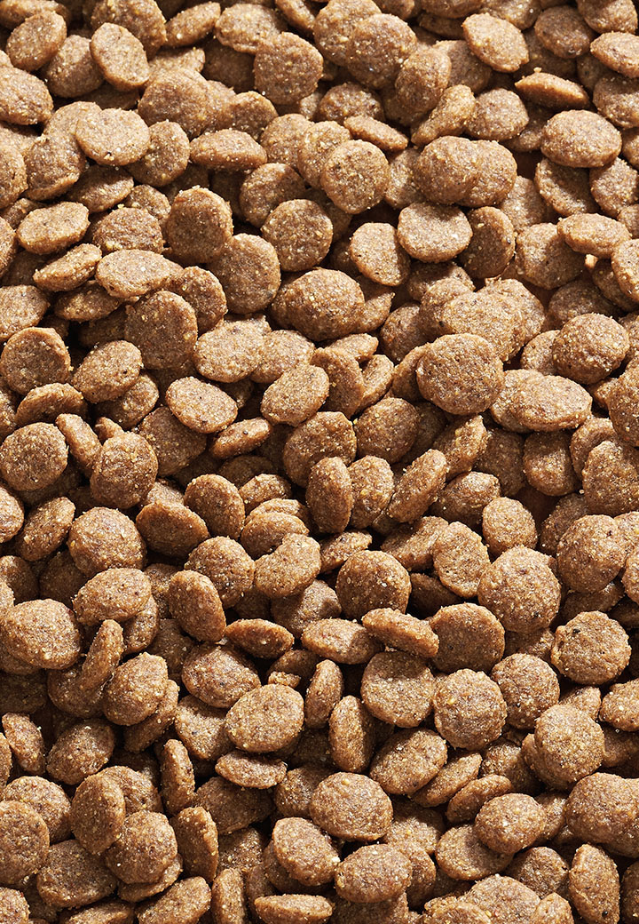 Cat Low Protein