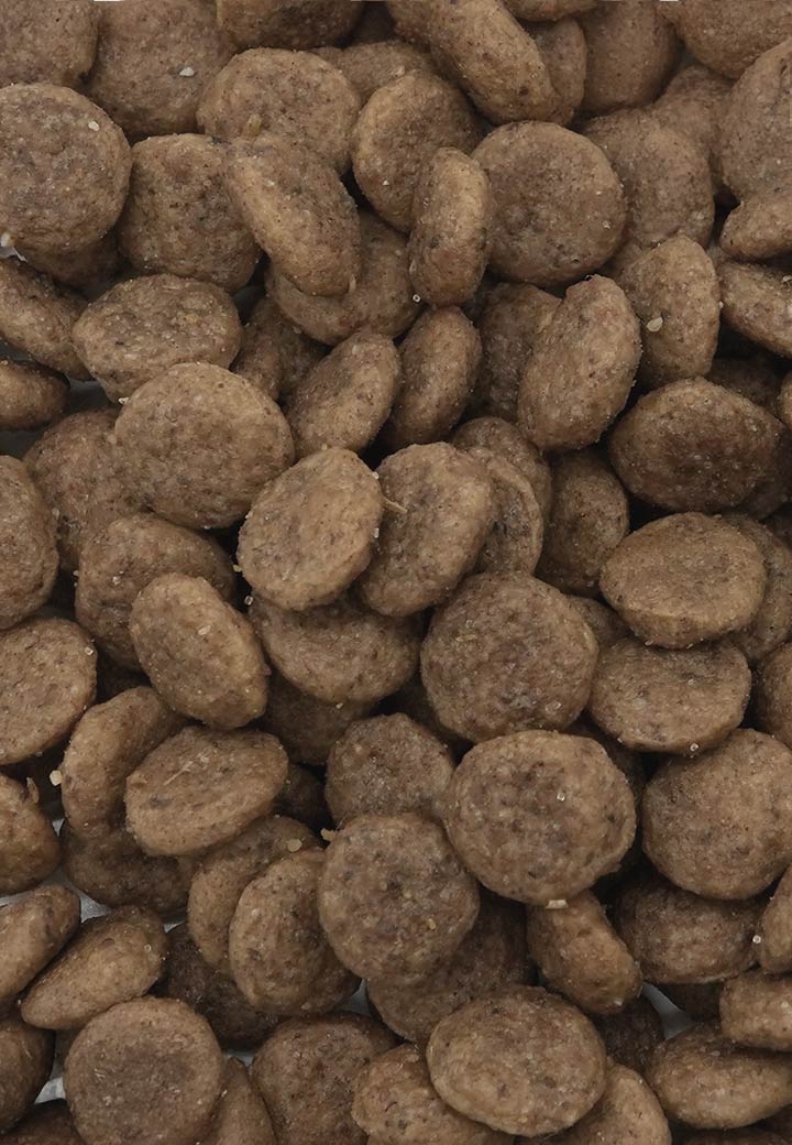 Cat Rena Care Iberico Picture 2