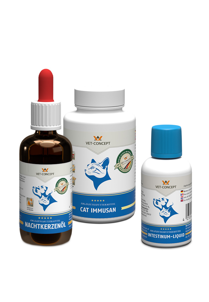 Intestinal treatment for cats