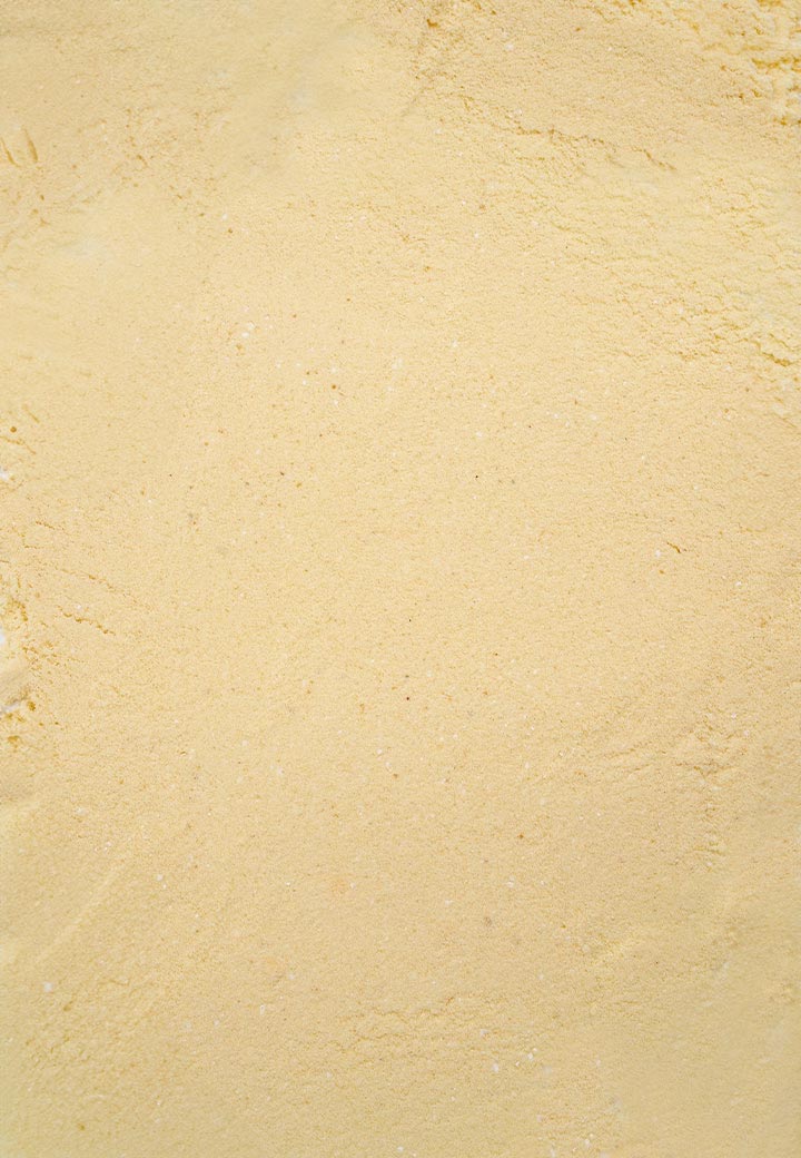 Immulak Cat, 500g Picture 2