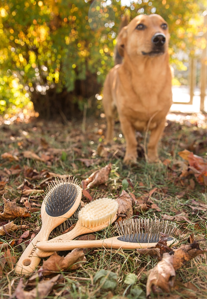 St. Diems Dog Brush Double-Sided Picture 3