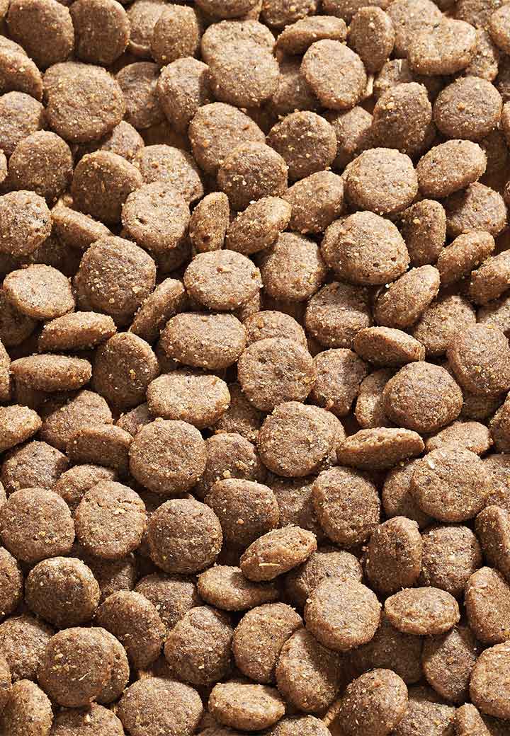 Cat Low Mineral Oxalat Picture 2