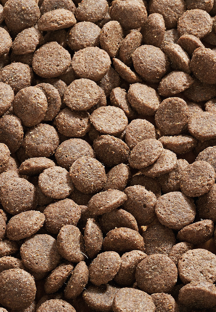 Dog Low Mineral Picture 2