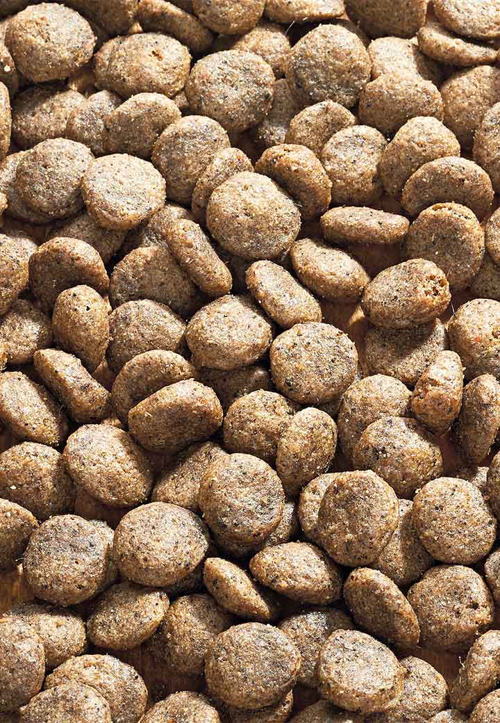 Dog Intestinal Junior Picture 2