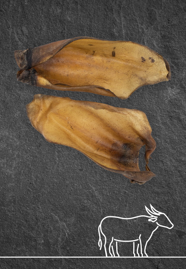 Buffalo ears, 3 pcs.