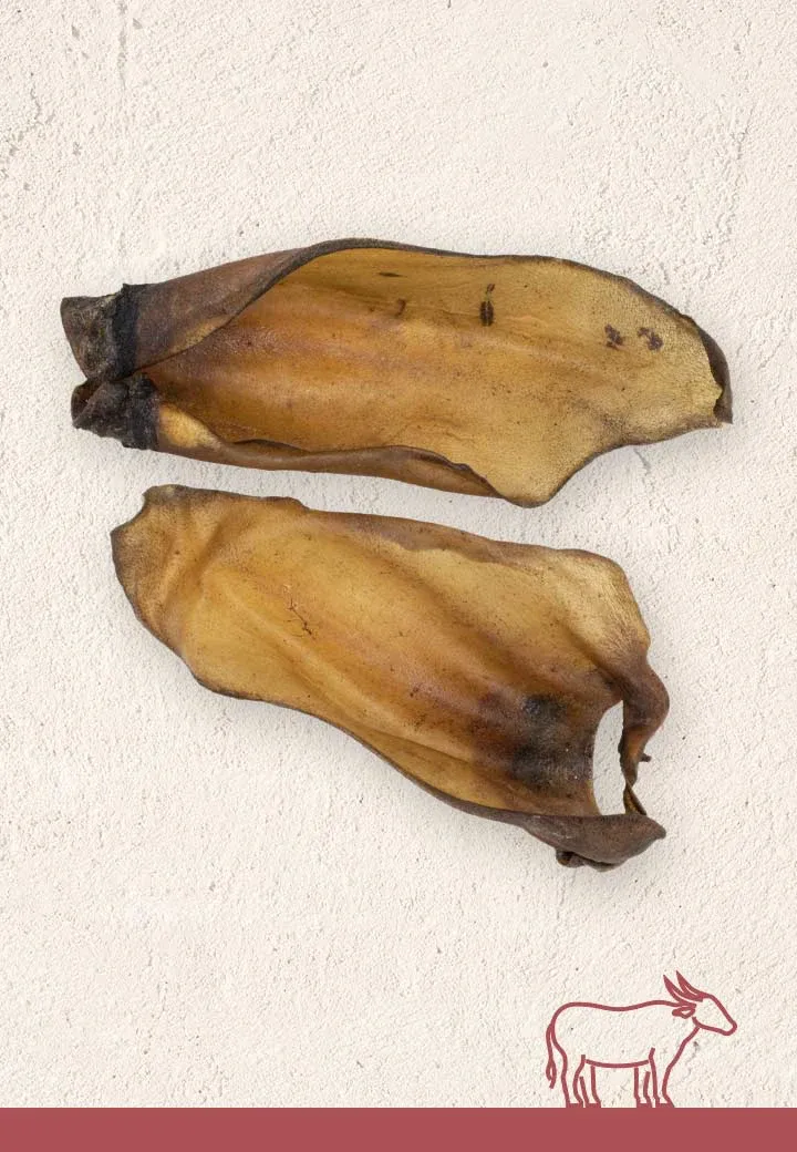 Buffalo ears, 3 pcs.