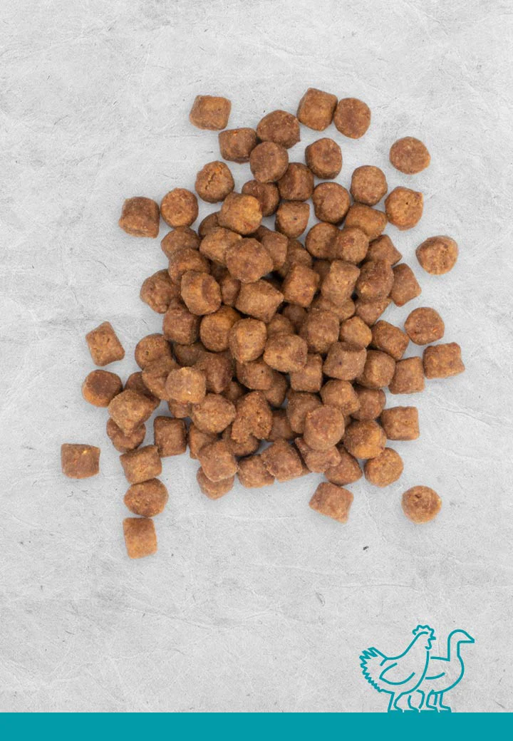 Chicken nibbles, 100g