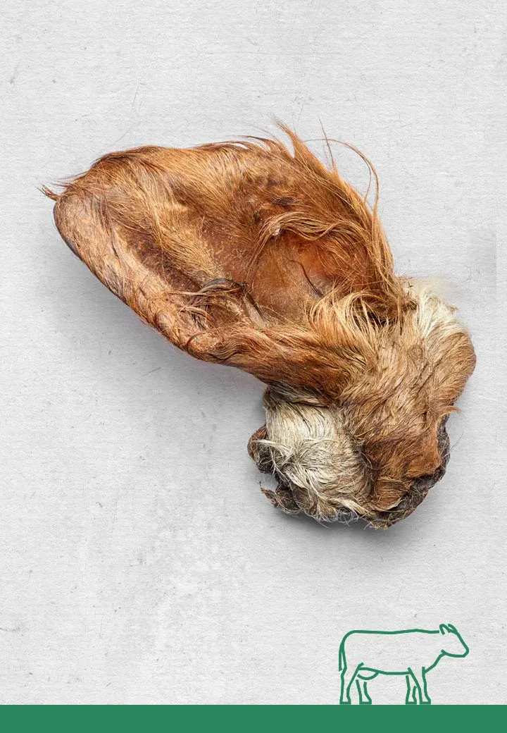 Coated beef ears, 3 pcs.