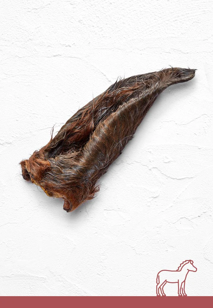 Coated horse ears, 3 pcs.