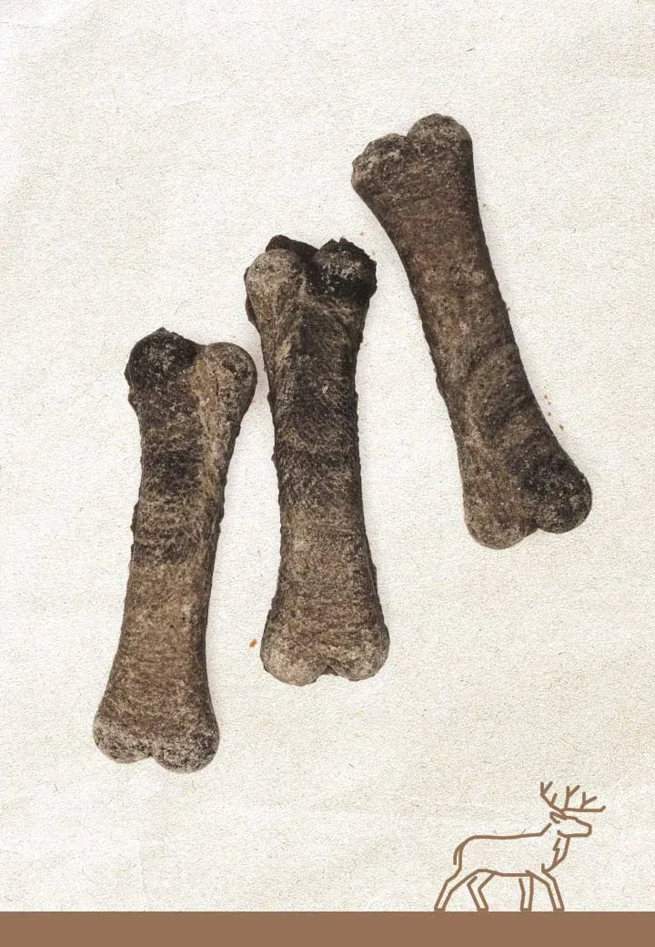 Deer bones, 3 pcs. a 12 cm, 15 cm