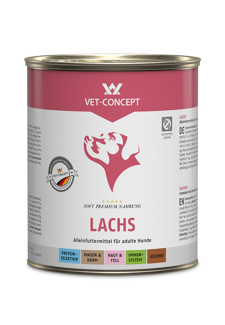 Dog menu - Salmon