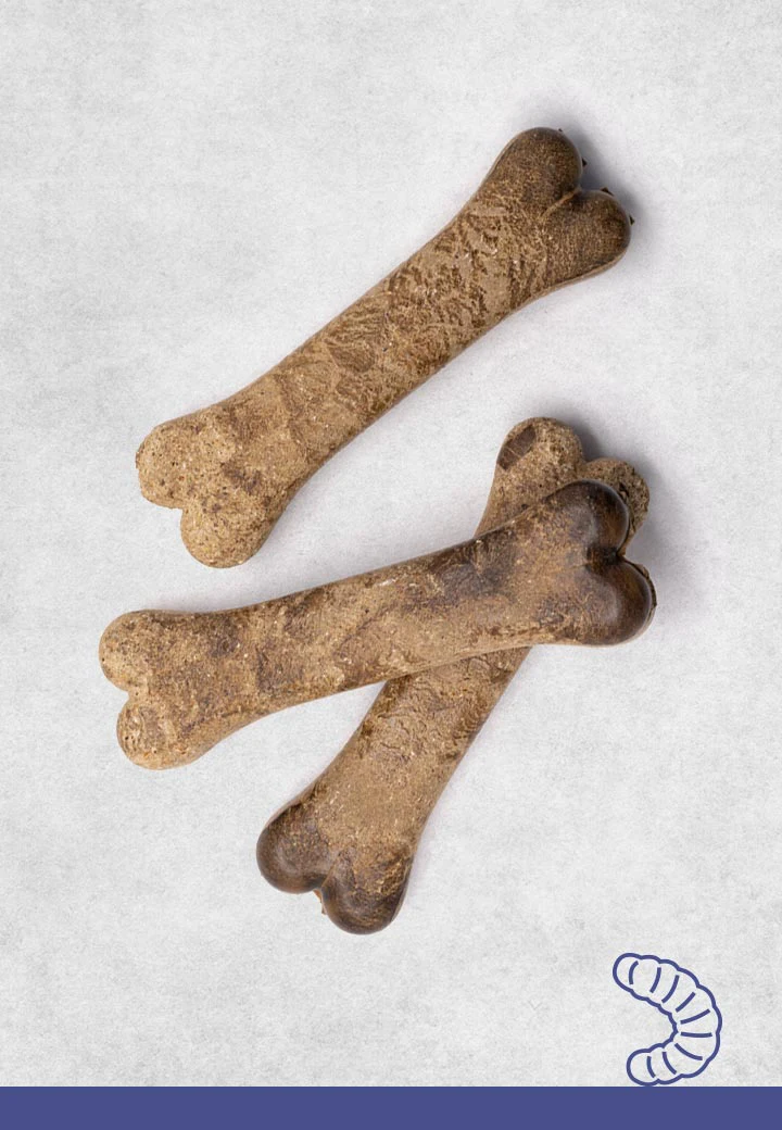 Hermetia bones, 3 pcs. a 12 cm, 15 cm
