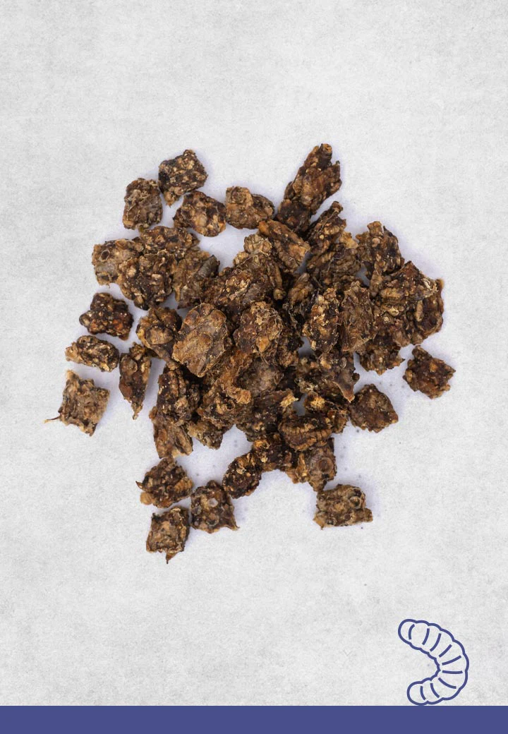 Hermetia snack, 80 g