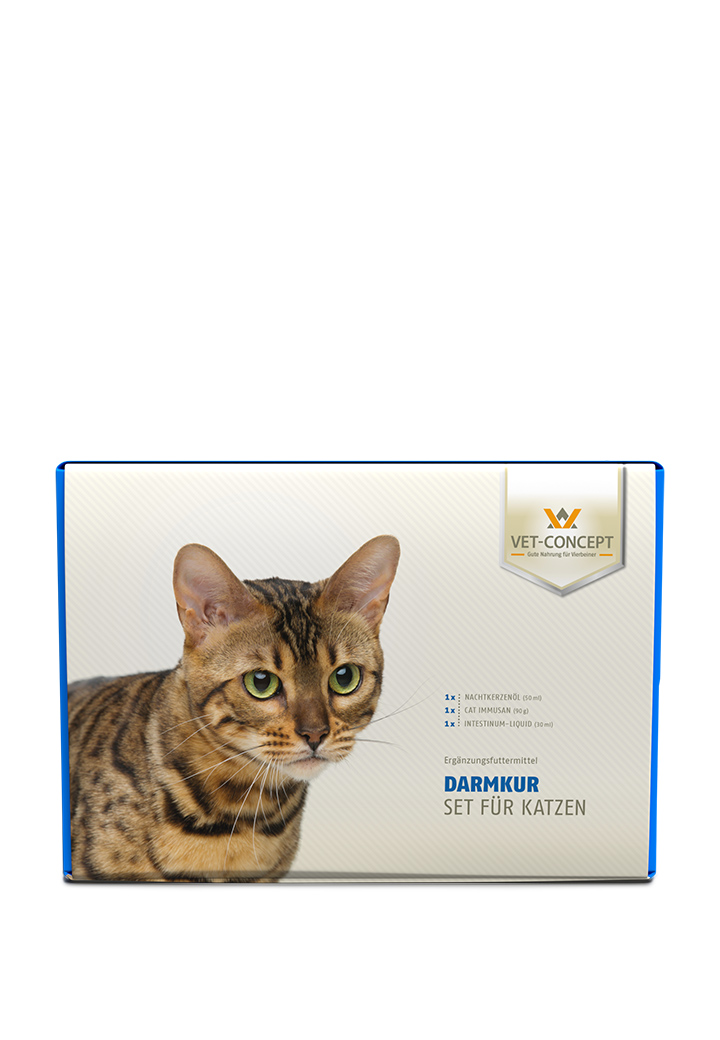 Intestinal treatment for cats