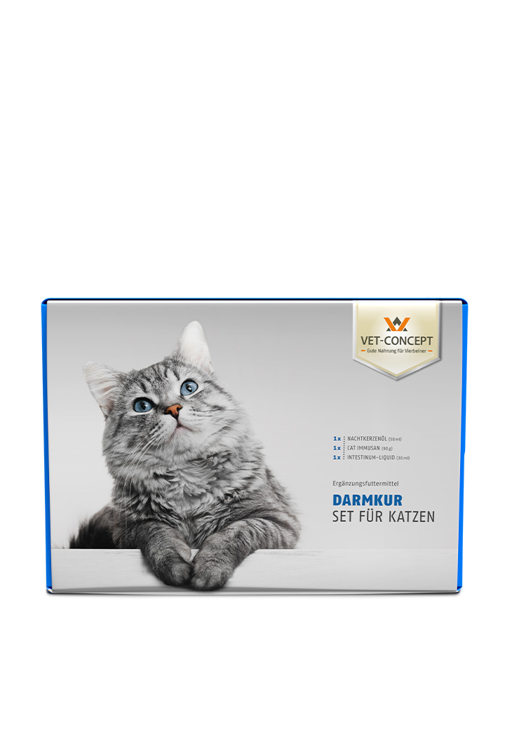 Intestinal treatment for cats