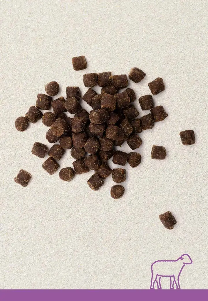 Lamb nibbles, 100g