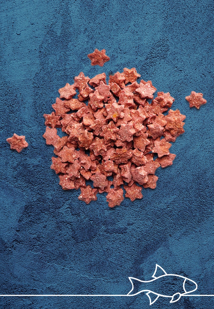 Mini salmon stars, 100g