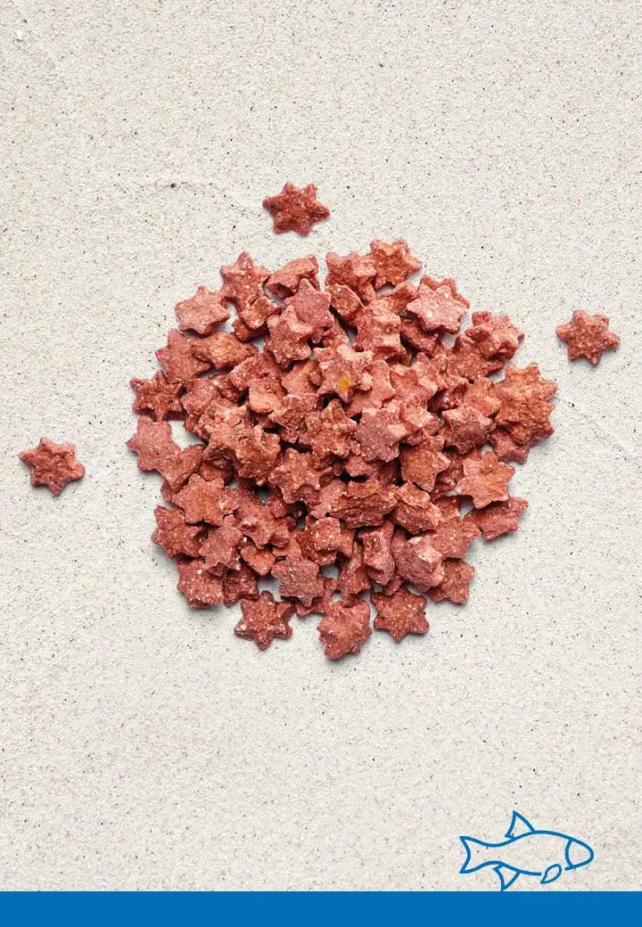 Mini salmon stars, 100g