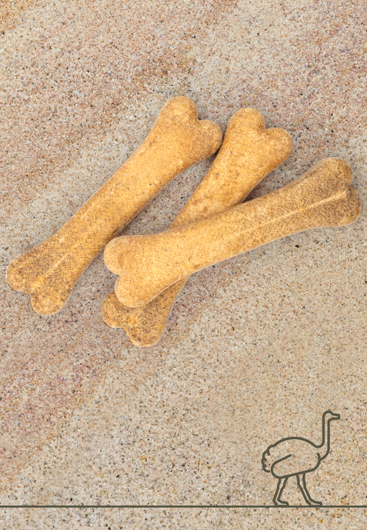 Ostrich bones, 3 pcs. a 12 cm, 15 cm
