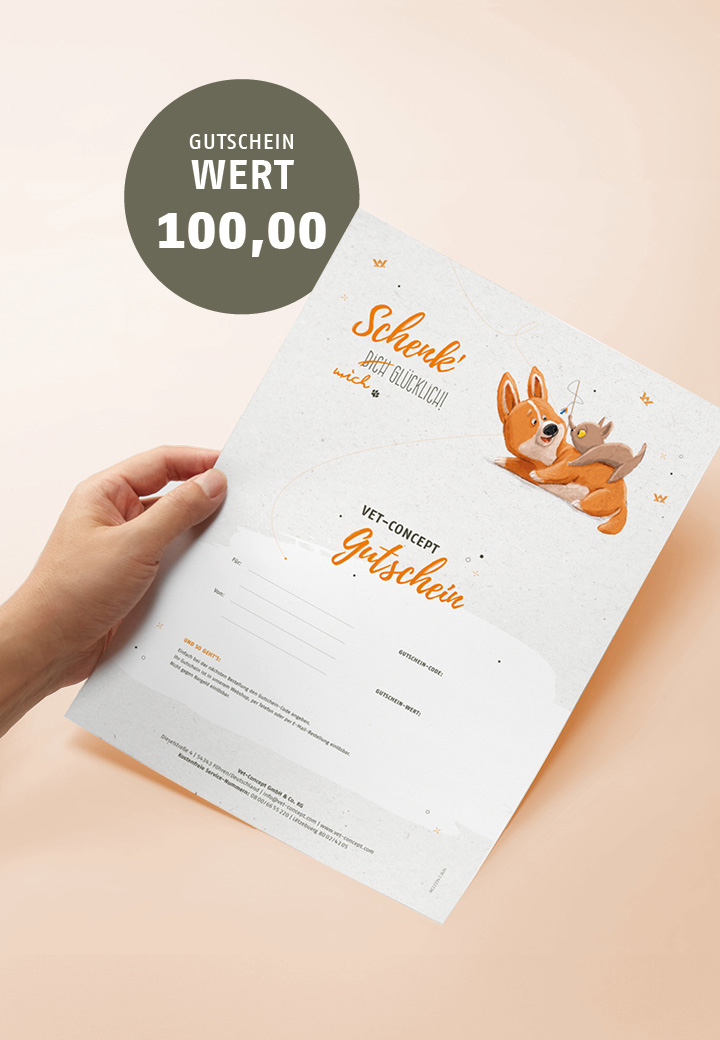 Printed Vet-Concept gift card by mail
