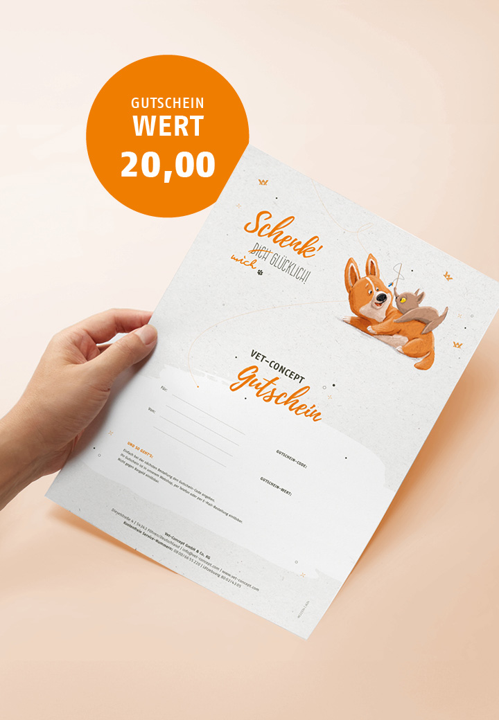 Printed Vet-Concept gift card by mail