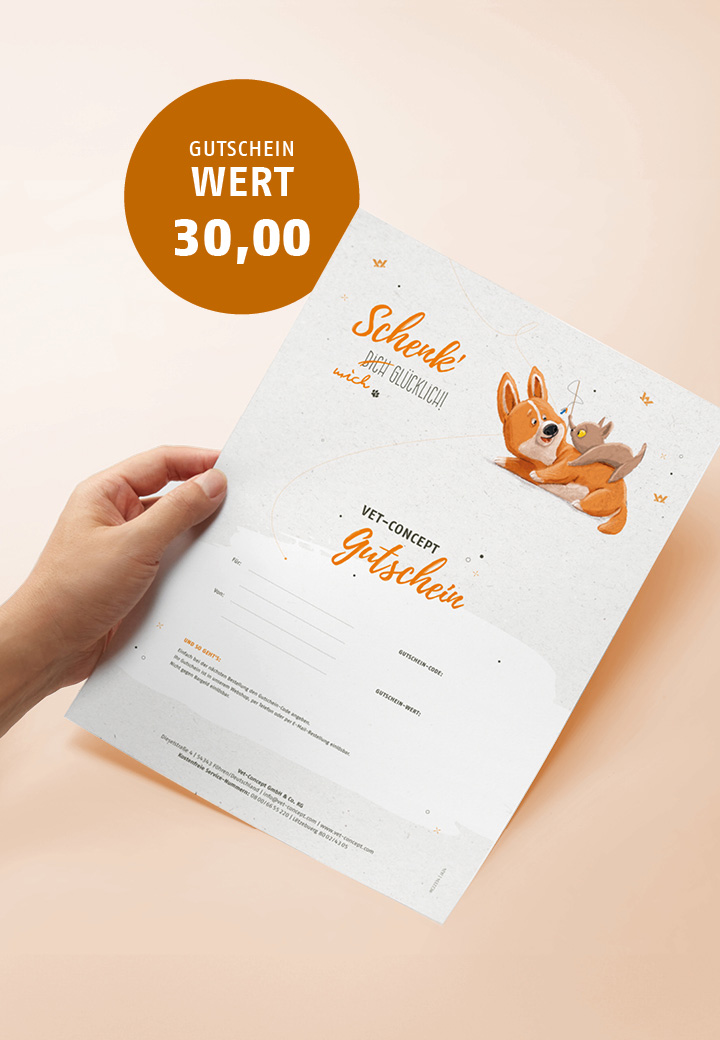 Printed Vet-Concept gift card by mail