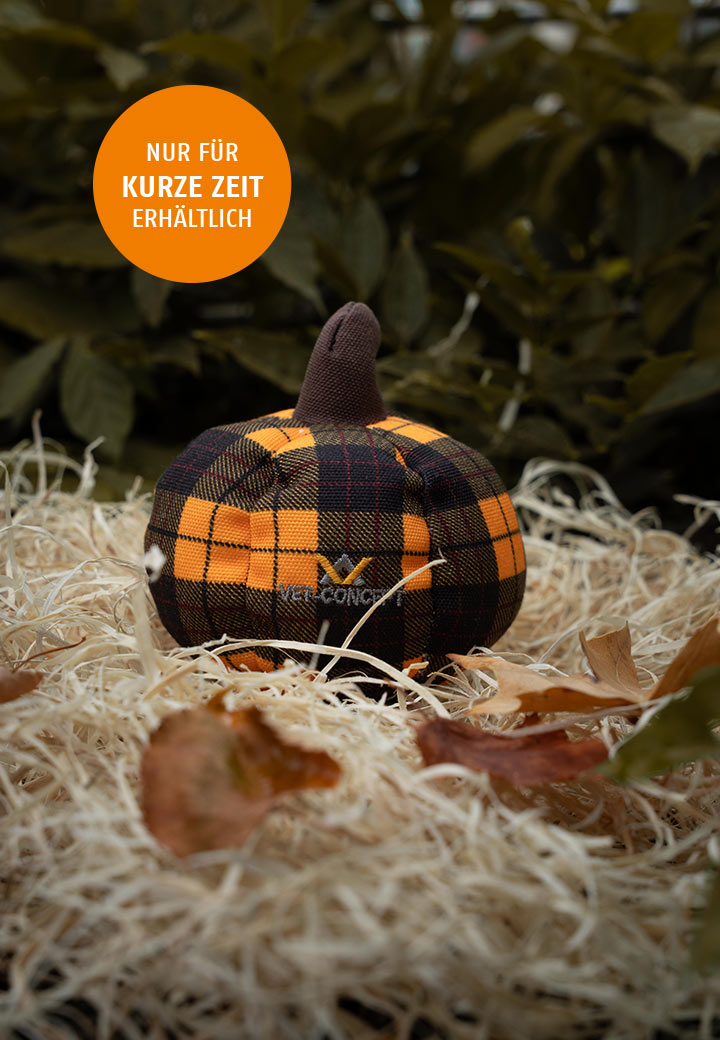 Small pumpkin