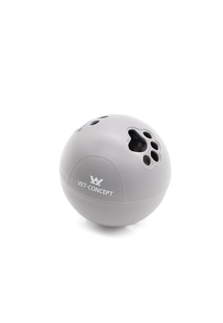 Snack Ball for cats