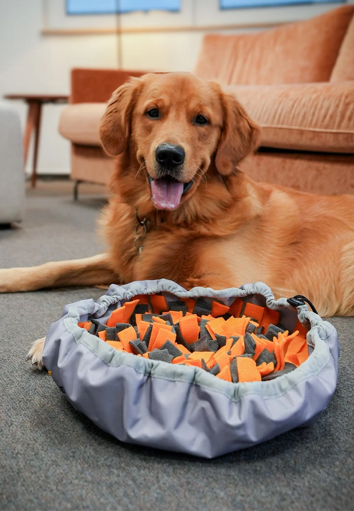 Sniffing rug