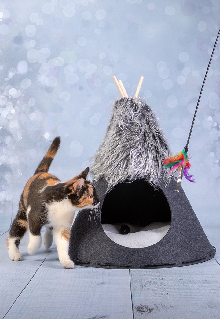 Cat Tepee Picture 2