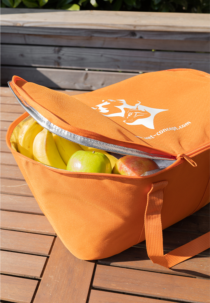 reisenthel lunch bag