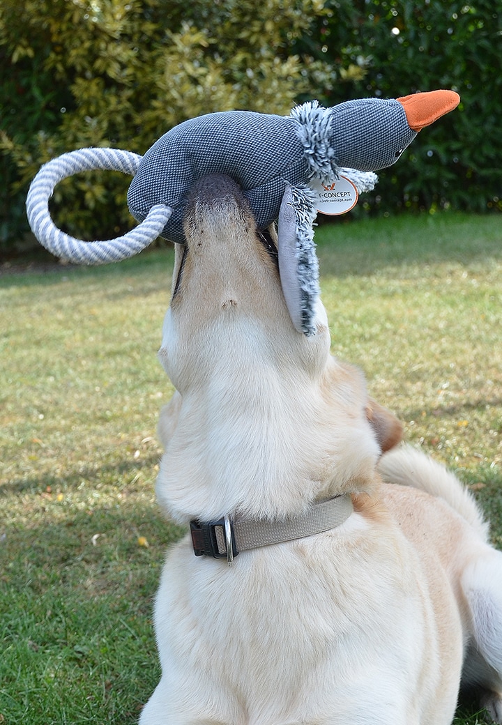 Dog Toy Duck Emil Reward Shop
