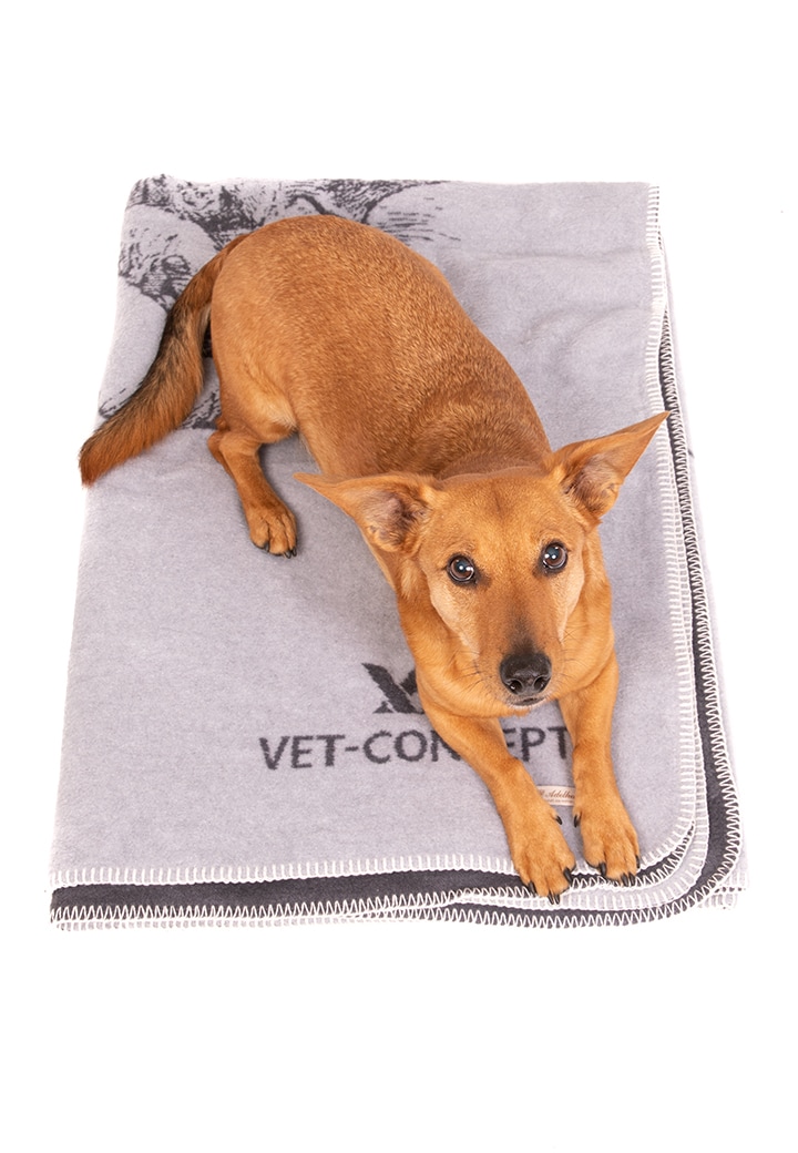 Vet-Concept Cuddle Blanket - Machs dir gemuetlich