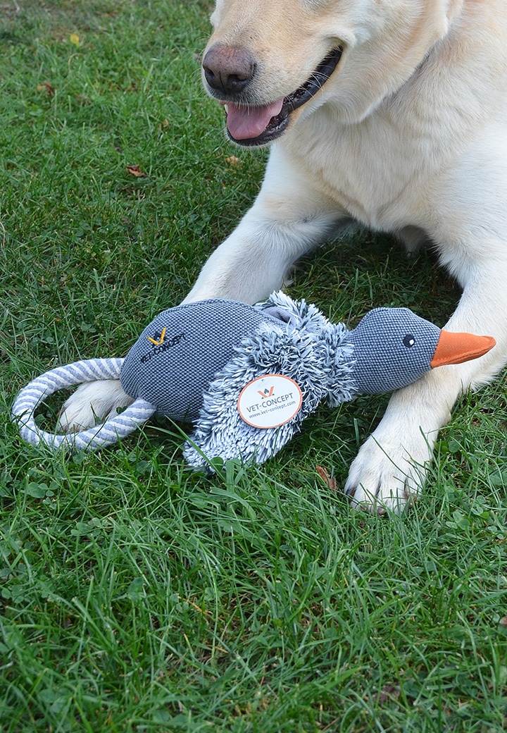 Dog Toy Duck Emil Picture 2