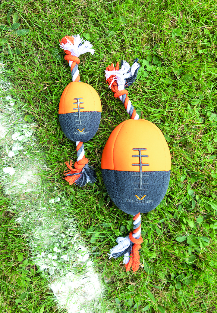 Vet-Concept Football Picture 2