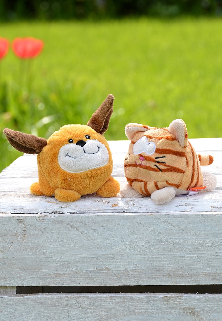 Schmoozie Cat Display Cleaner