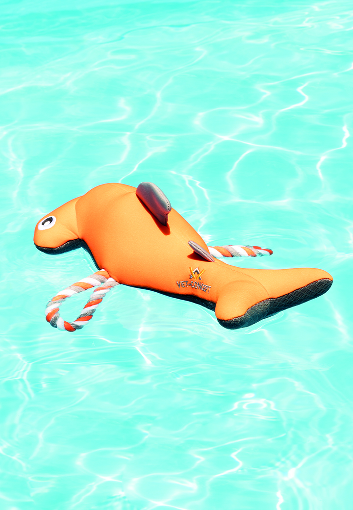  Hammerhead shark Oskar  Picture 2