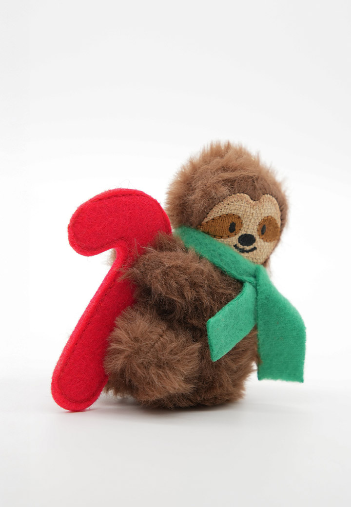 Carlo the sloth Picture 2