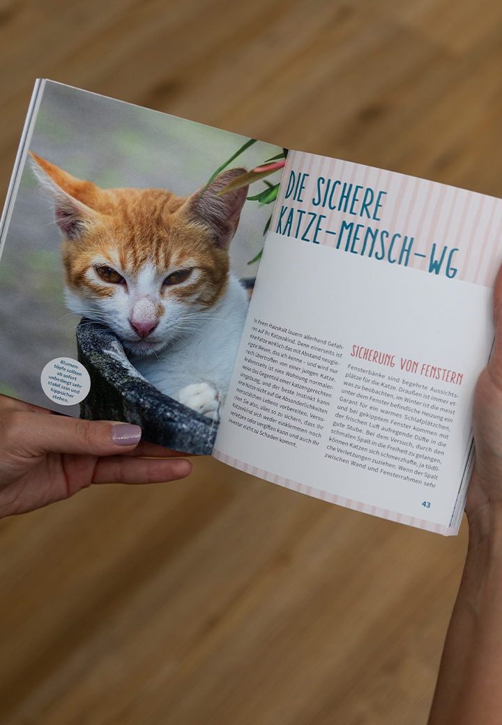 Book - Ein Katzenkind kommt ins Haus Picture 4