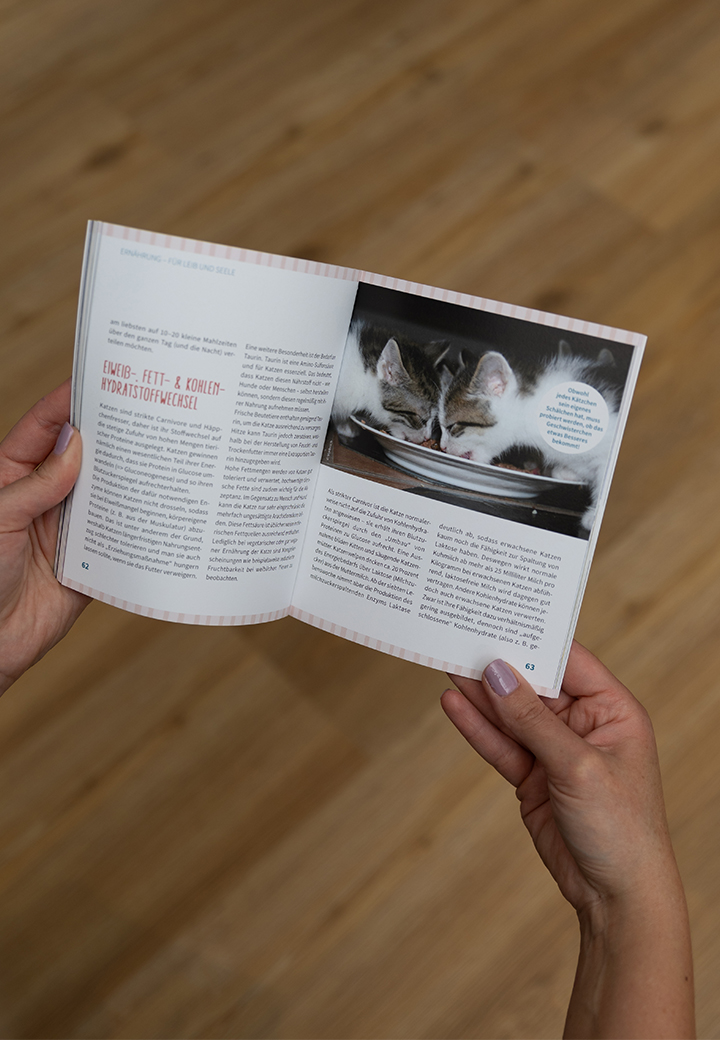 Book - Ein Katzenkind kommt ins Haus Picture 5