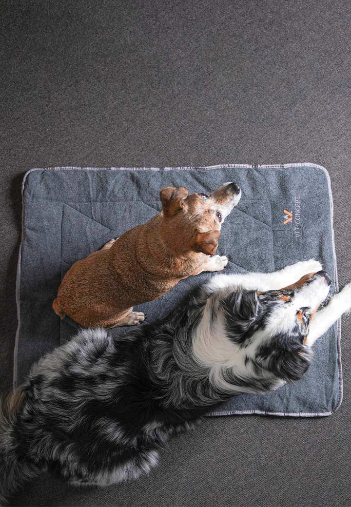 Vet-Concept Dog Travel Blanket Picture 4