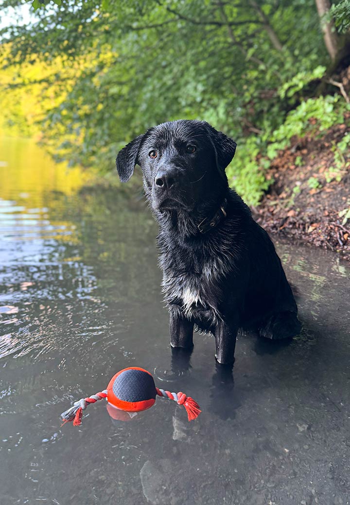 Floating ball with rope