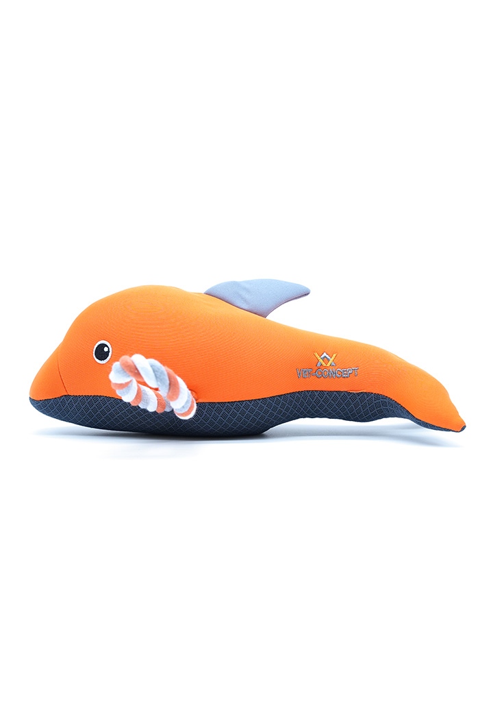 Dolphin Danny Picture 4