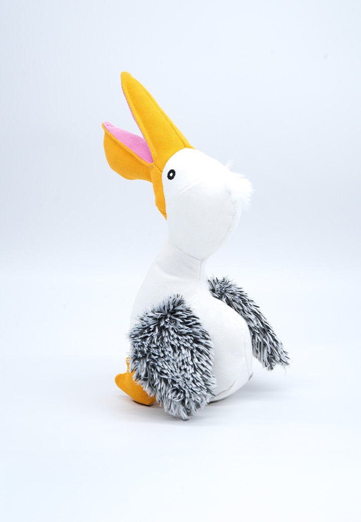 Pelican Phil Picture 3