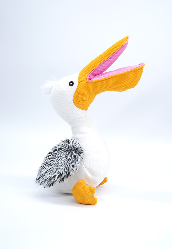 Pelican Phil Picture 4