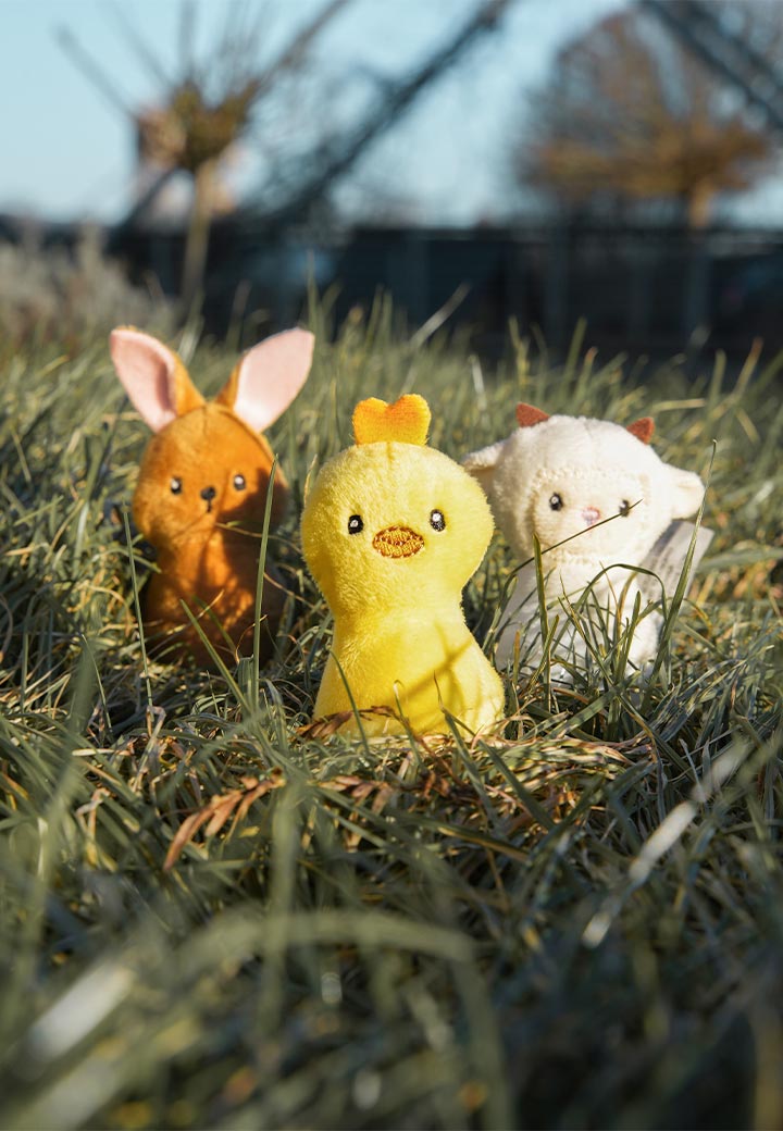 Easter trio Picture 4