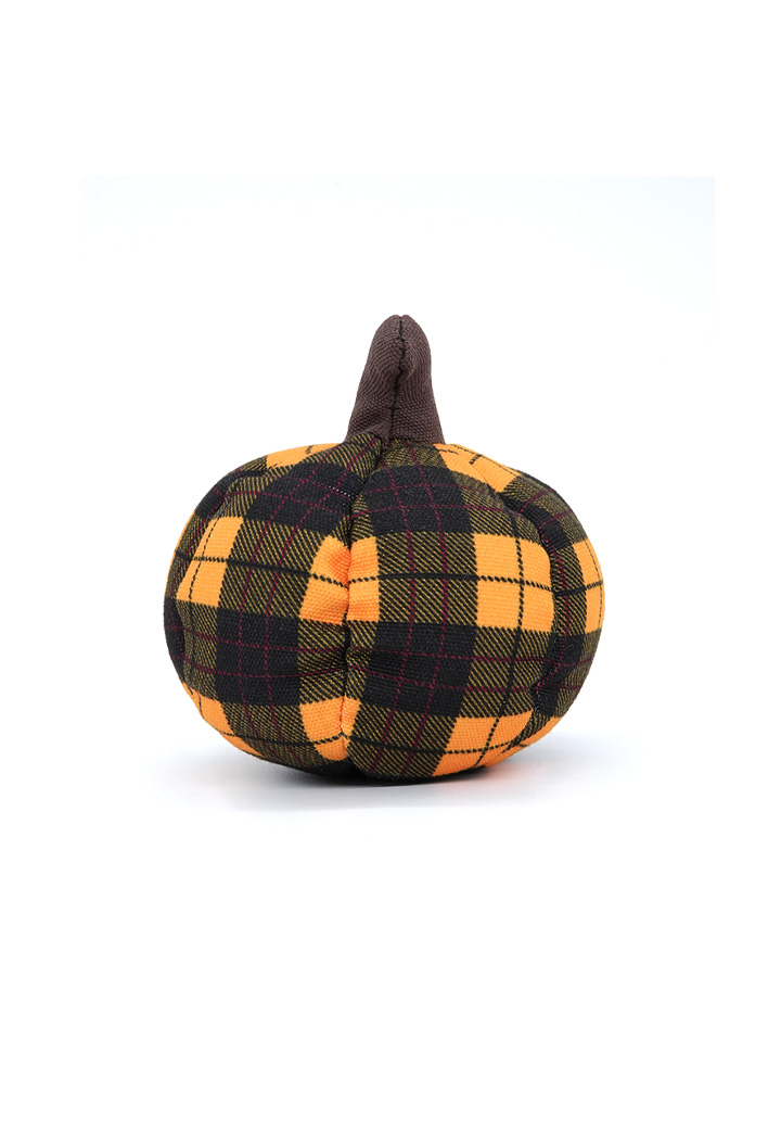 Small pumpkin Picture 3