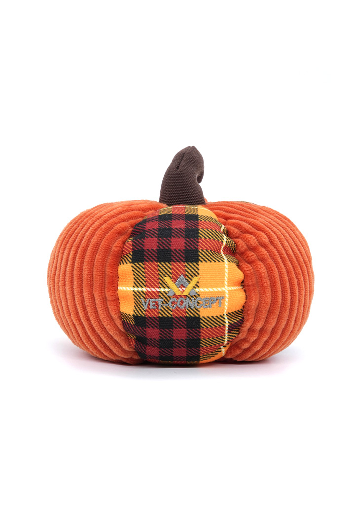 Large pumpkin